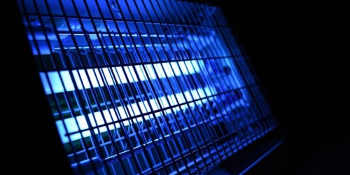 Lampade a luce blu: funzionano contro gli insetti?