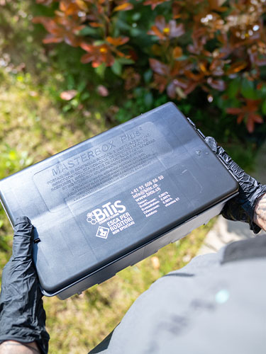 Come si svolge un intervento di disinfestazione