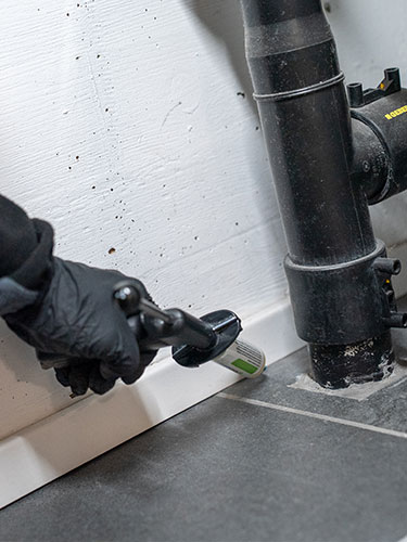 Disinfestazione in azienda: domande frequenti