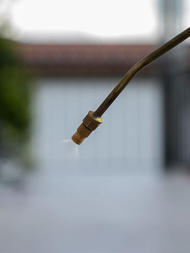 Disinfestazioni nel Locarnese