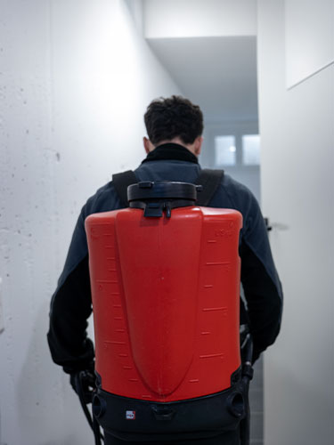 Domande frequenti sulla disinfestazione