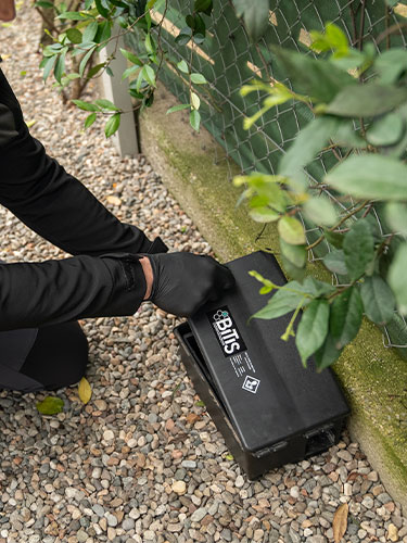 Prevenzione delle infestazioni: cosa fare e cosa evitare