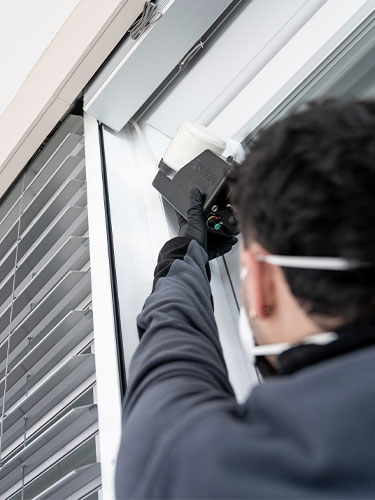 Quanto costa una disinfestazione in Ticino