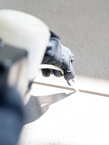 Responsabilit&agrave; del gestore in caso di infestazione