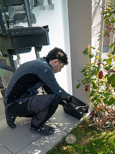 Segnali di un&rsquo;infestazione da non sottovalutare